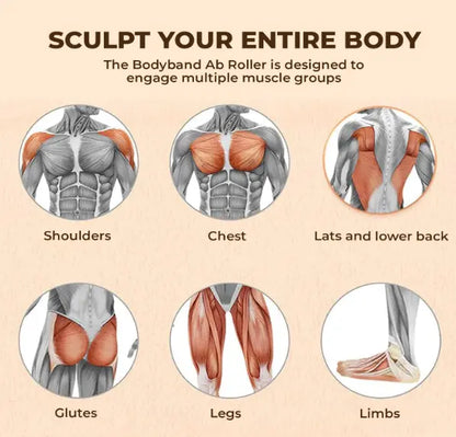 Flynkz CoreX™ – Automatic Rebound Ab Roller Flynkz